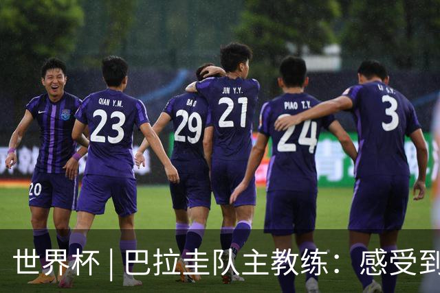 世界杯 | 巴拉圭队主教练：感受到比赛的极致压力