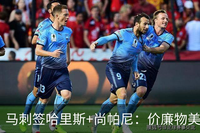 马刺签哈里斯+尚帕尼：价廉物美